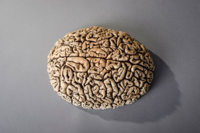 Picture of Decision Making