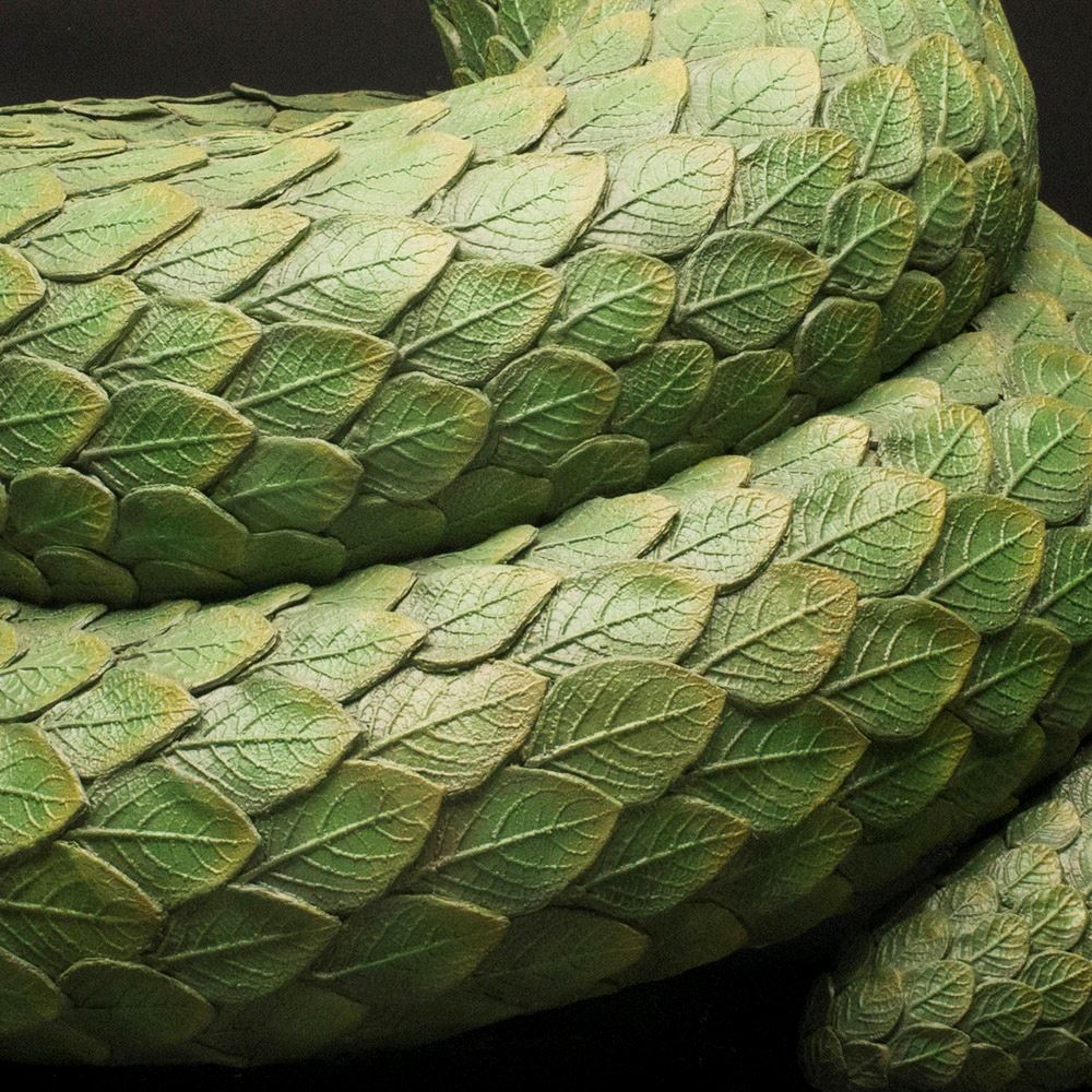 Squamata | Hieronymus Objects