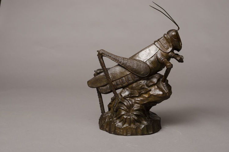 Picture of Grasshopper