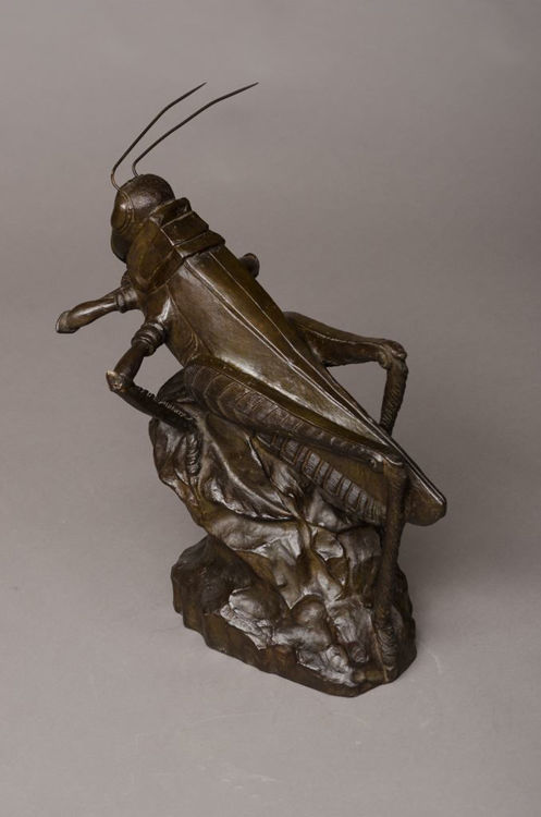 Picture of Grasshopper