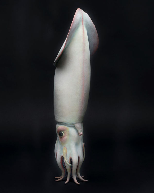 Picture of Squid