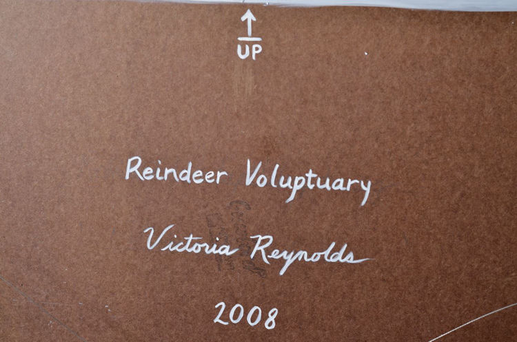 Picture of Reindeer Voluptuary