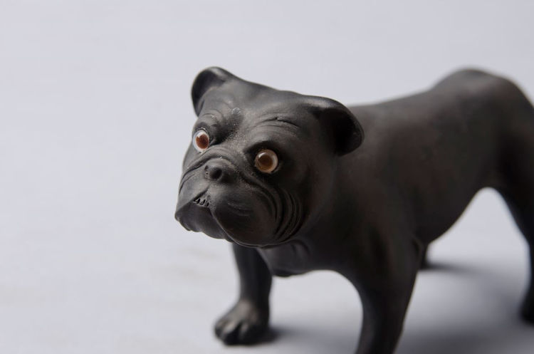 Picture of Bulldog in Black Basalt