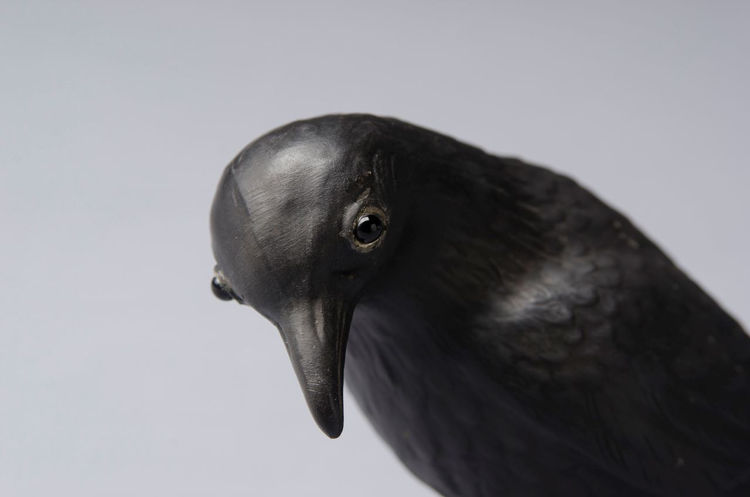 Picture of Raven in Black Basalt