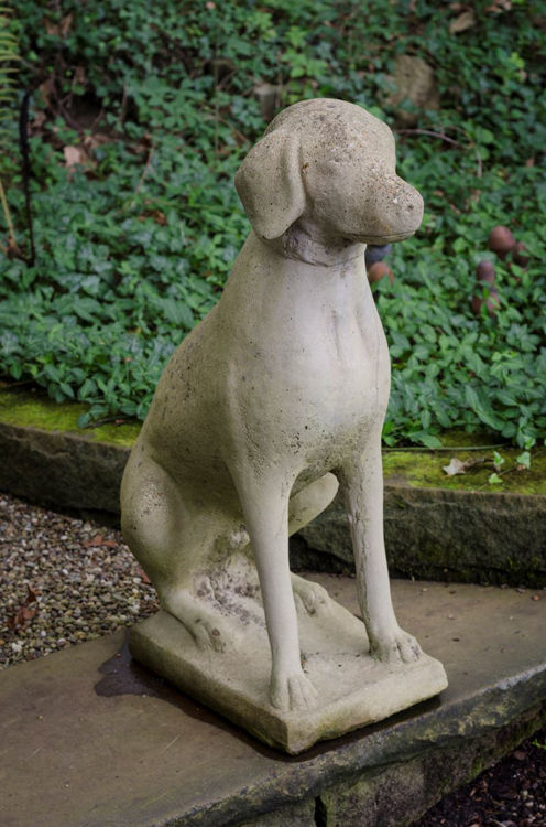 Picture of Sitting Dog Statue