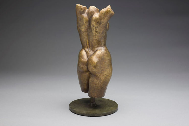 Picture of Nude Torso III