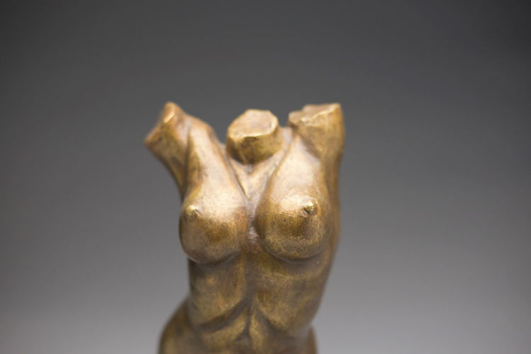 Picture of Nude Torso III