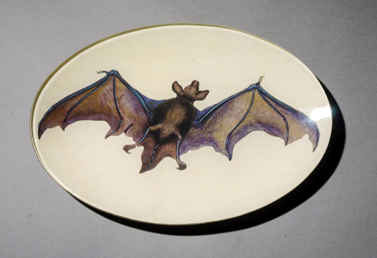 Picture of Bat Plate