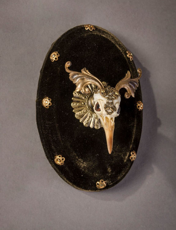 Picture of Elaborate Bird Skull
