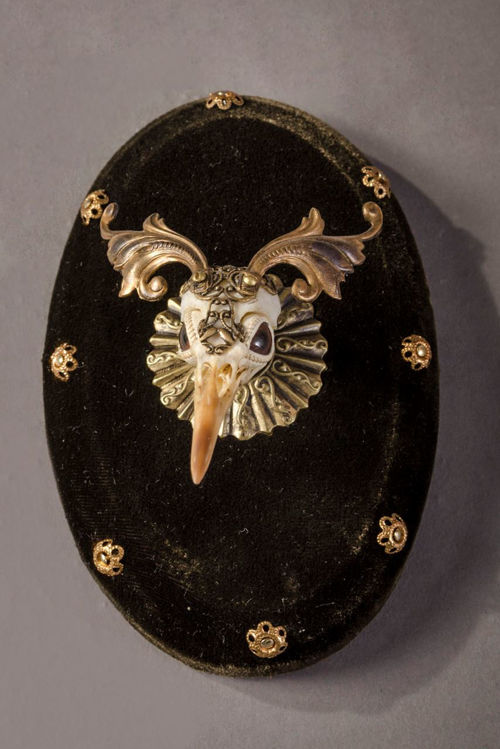 Picture of Elaborate Bird Skull