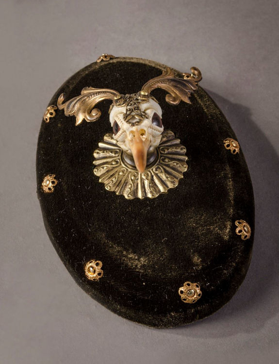 Picture of Elaborate Bird Skull