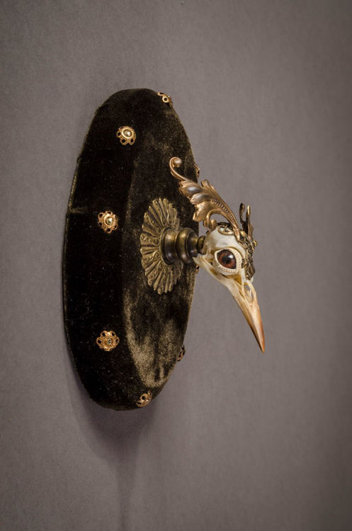 Picture of Elaborate Bird Skull