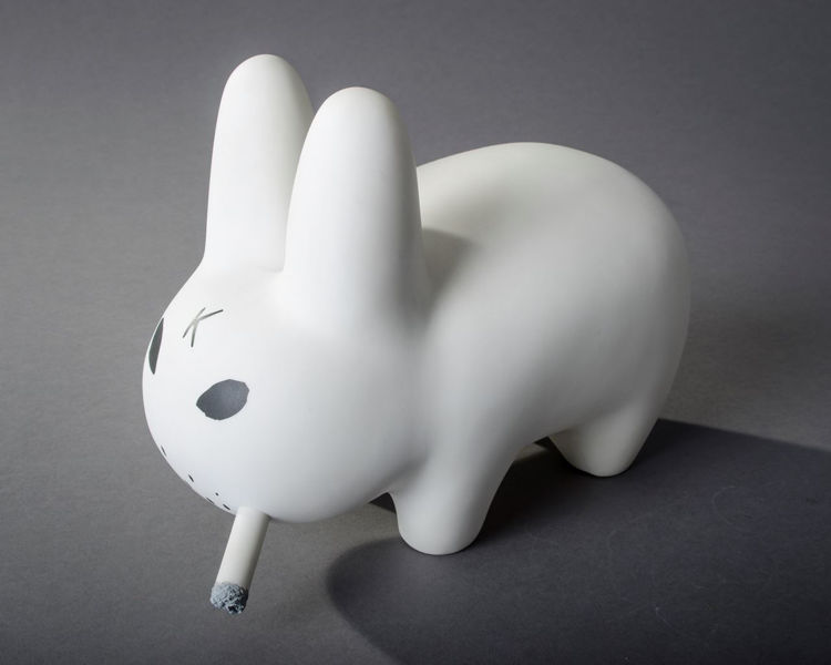 Picture of White Labbit