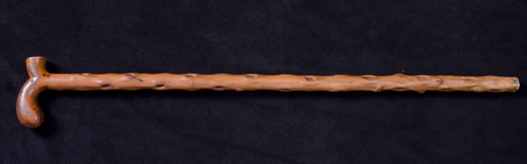 Picture of Maple Cane with Knots