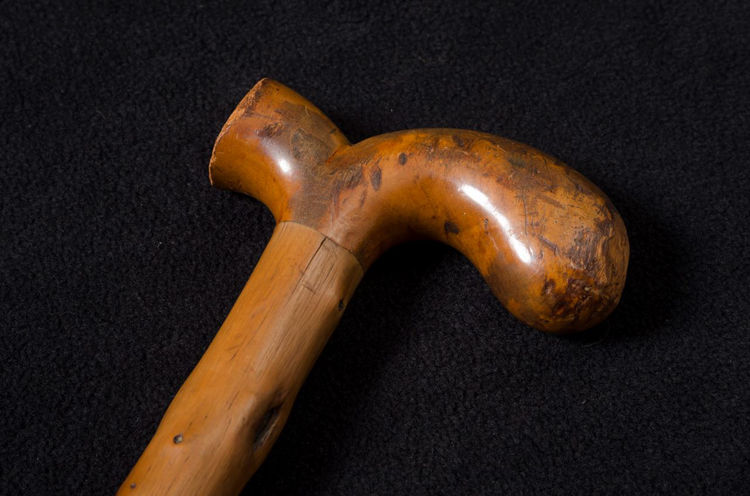 Picture of Maple Cane with Knots