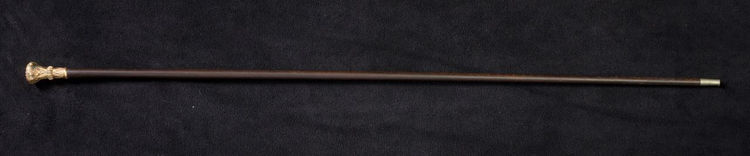 Picture of Inscribed Silver Knobbed Cane