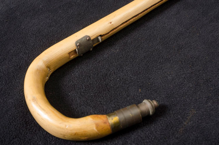 Picture of Crook Handle Wood Cane