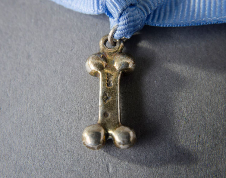Picture of Dog Bone Charm
