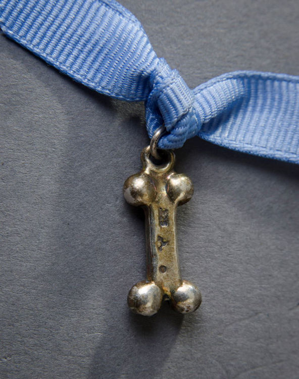 Picture of Dog Bone Charm