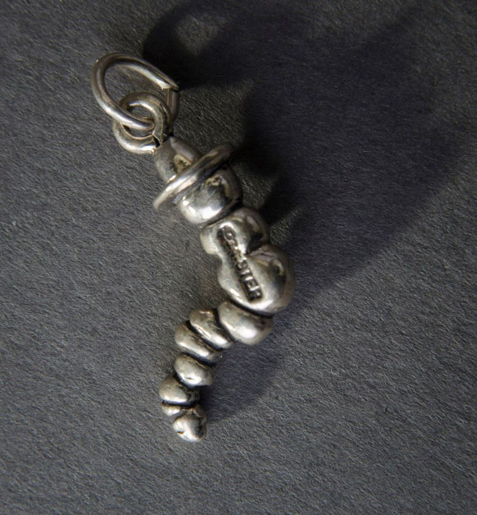 Picture of Smoking Worm Charm