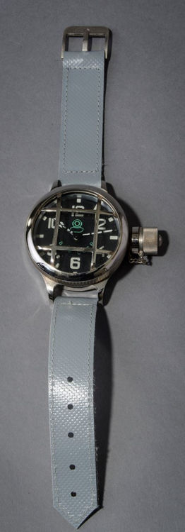 Picture of Diver's Watch