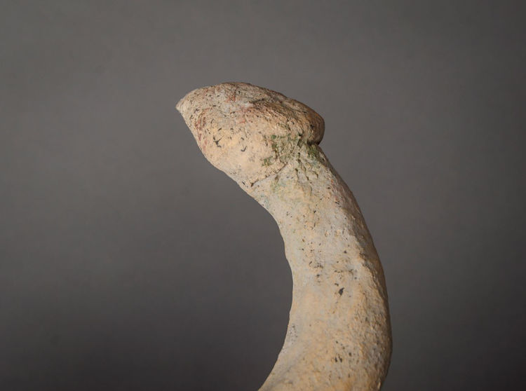 Picture of Clay Snake