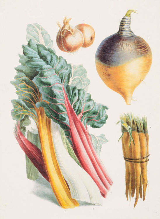 Picture of Root Vegetables