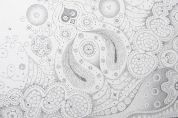 Picture of Snowflakes No. 95 'Ultrasonic Life'