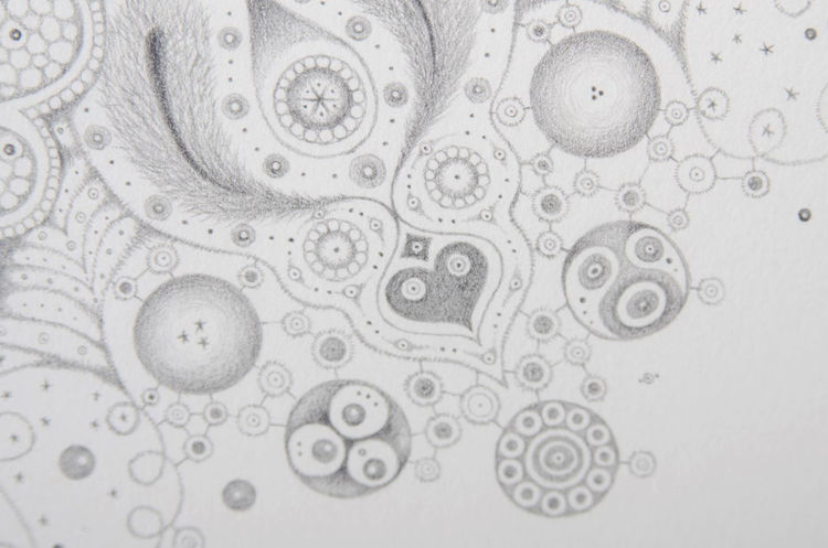 Picture of Snowflakes No. 95 'Ultrasonic Life'