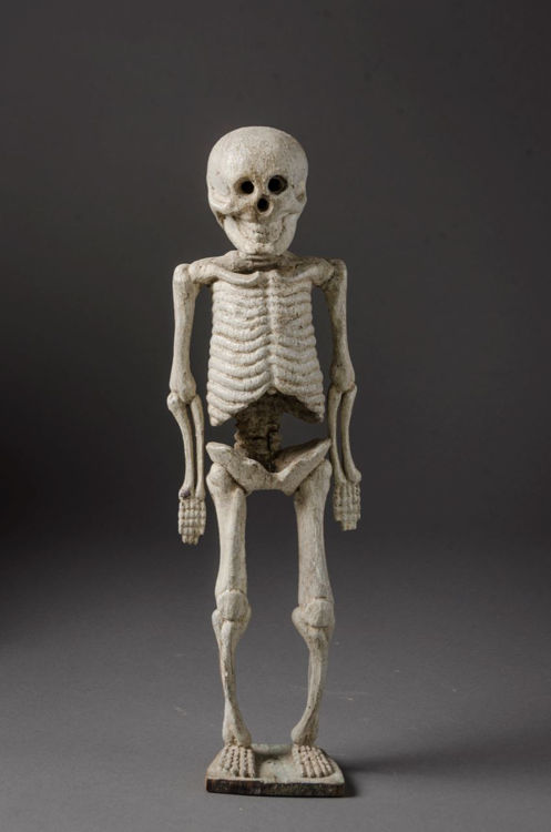 Picture of Hollow Skeleton
