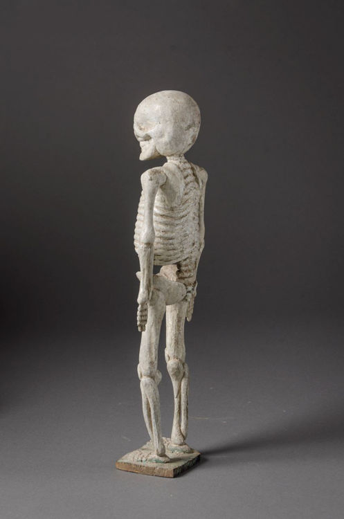 Picture of Hollow Skeleton