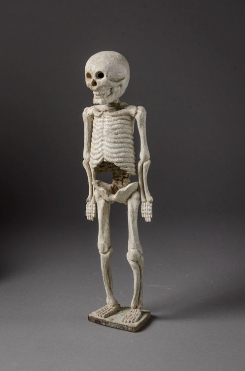 Picture of Hollow Skeleton