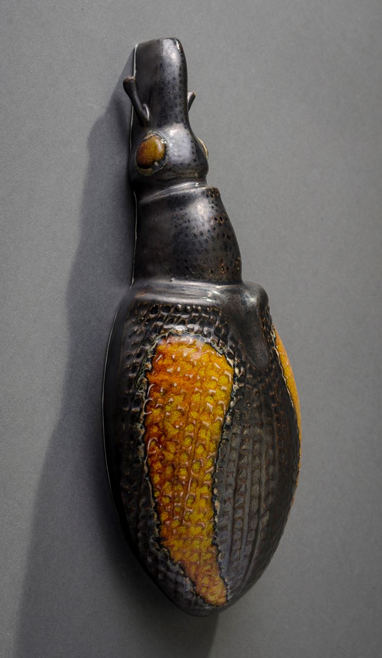 Apion Aeneum Hieronymus Objects