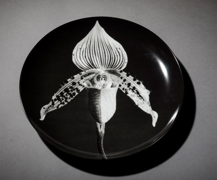 Picture of Orchid Plate