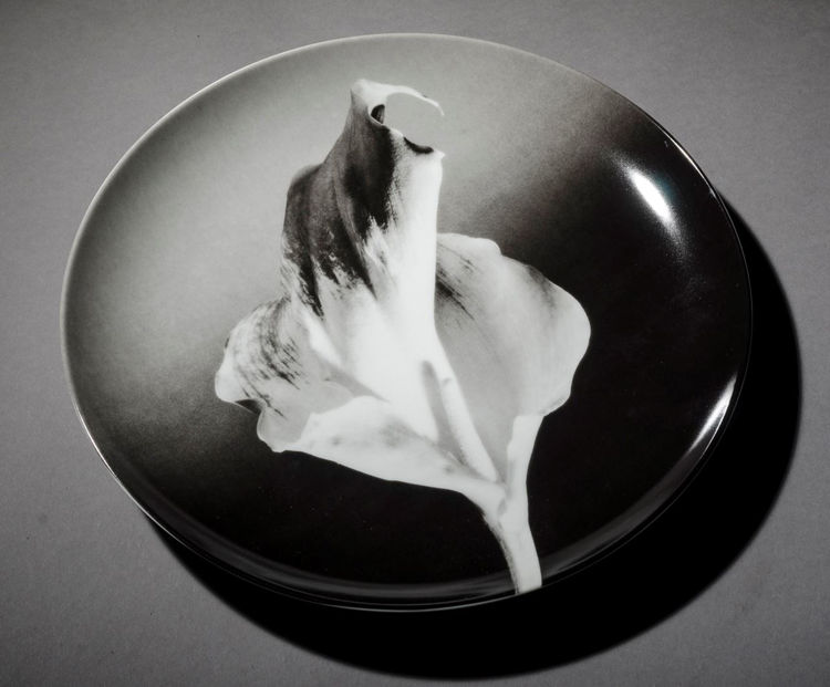 Picture of Flower Plate
