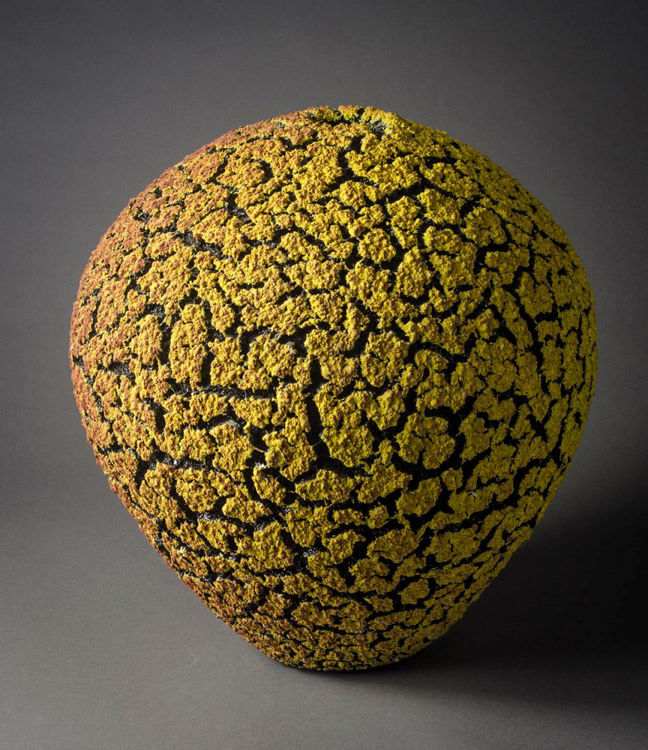 Picture of Yellow/Red Lichen Vase