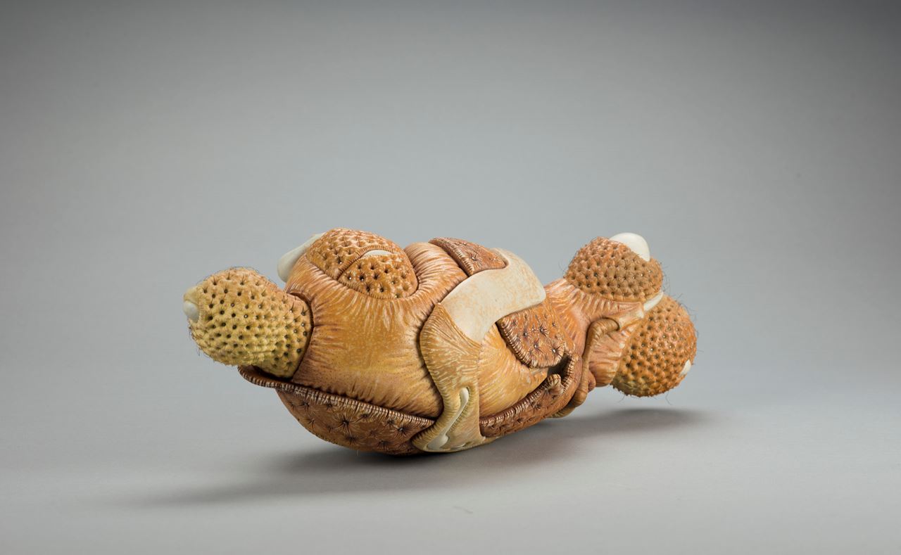 Squeeze | Hieronymus Objects