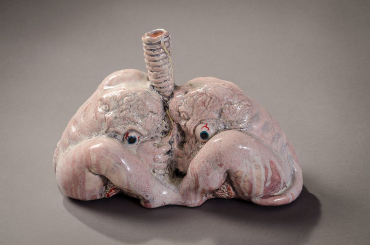 Picture of Lungs