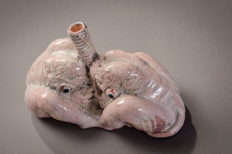 Picture of Lungs