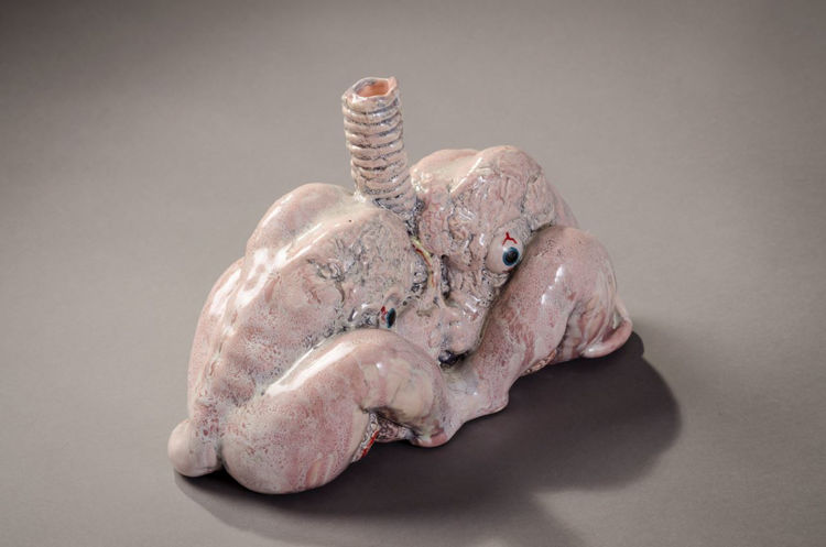 Picture of Lungs