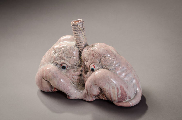 Picture of Lungs