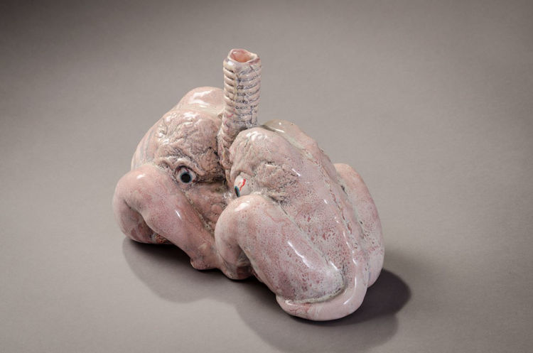 Picture of Lungs