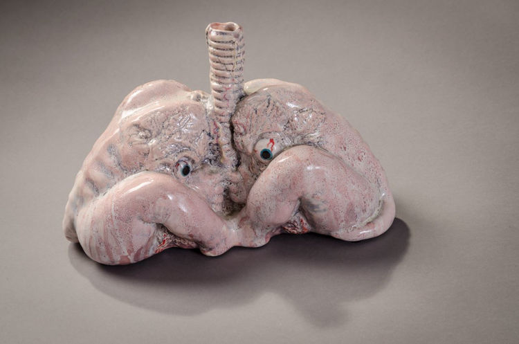 Picture of Lungs