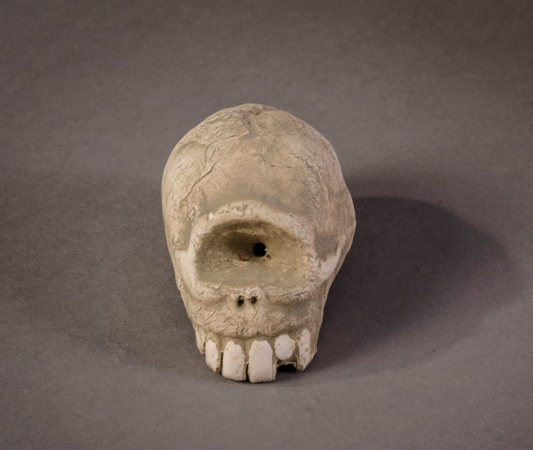 Picture of Cyclops Skull