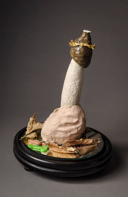 Picture of The Stinkhorn, Glorification I