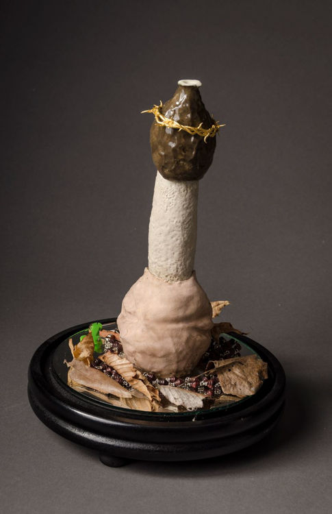 Picture of The Stinkhorn, Glorification I