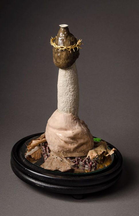 Picture of The Stinkhorn, Glorification I