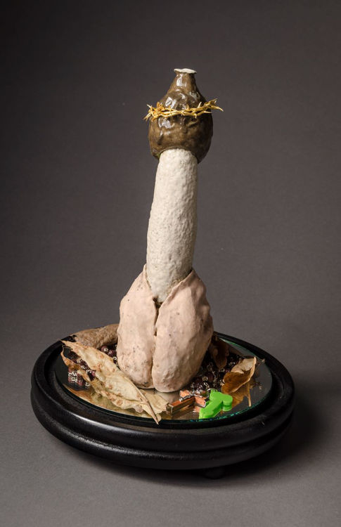 Picture of The Stinkhorn, Glorification I