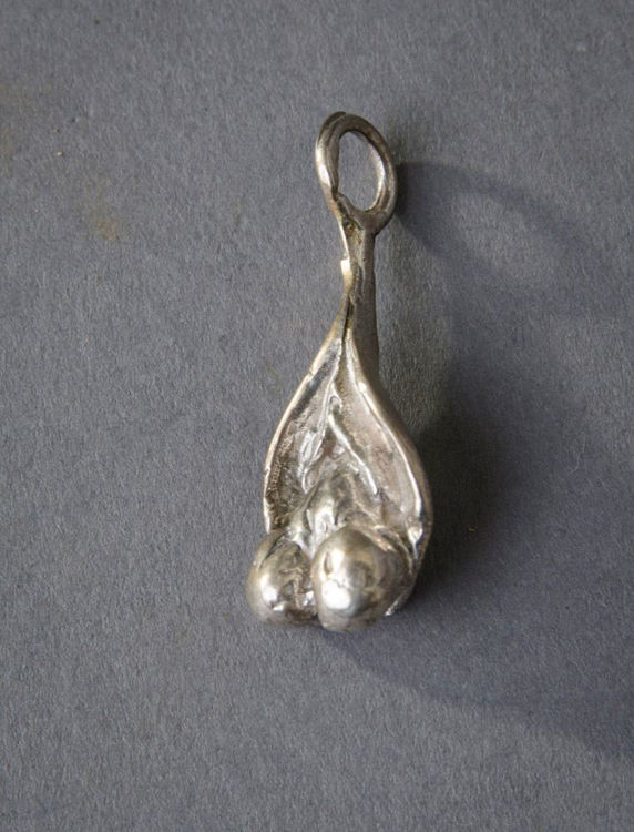 Picture of Penetrating Penis Charm