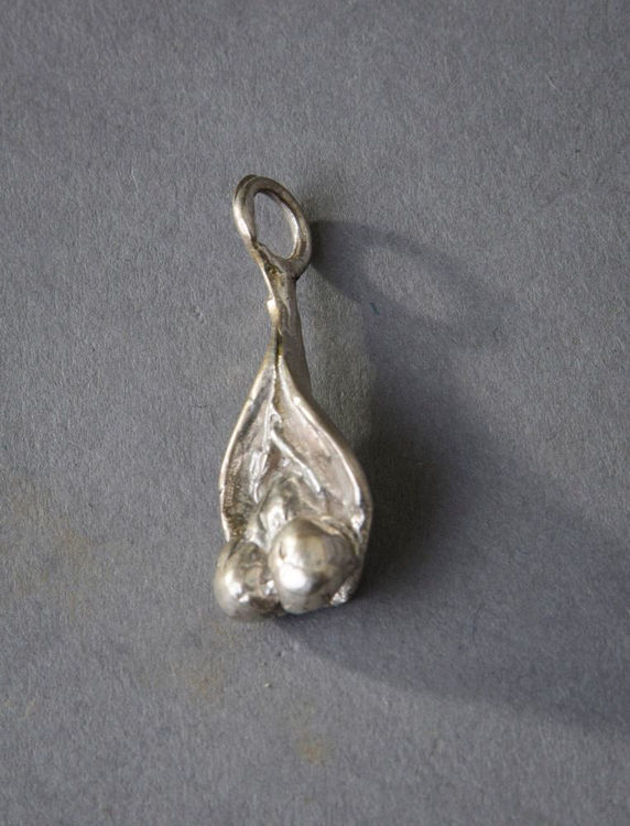 Picture of Penetrating Penis Charm